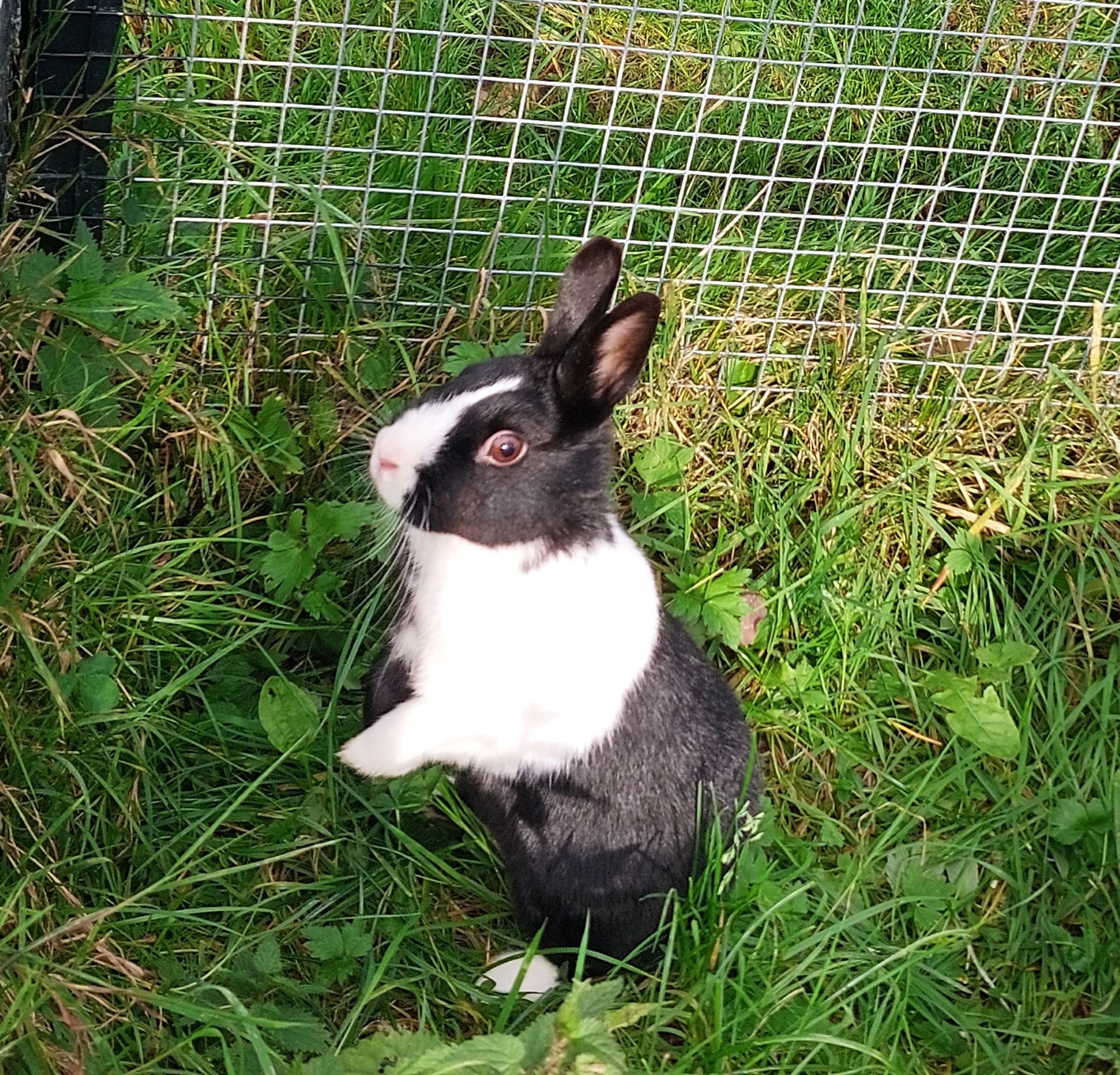 20231030_125233Loulou