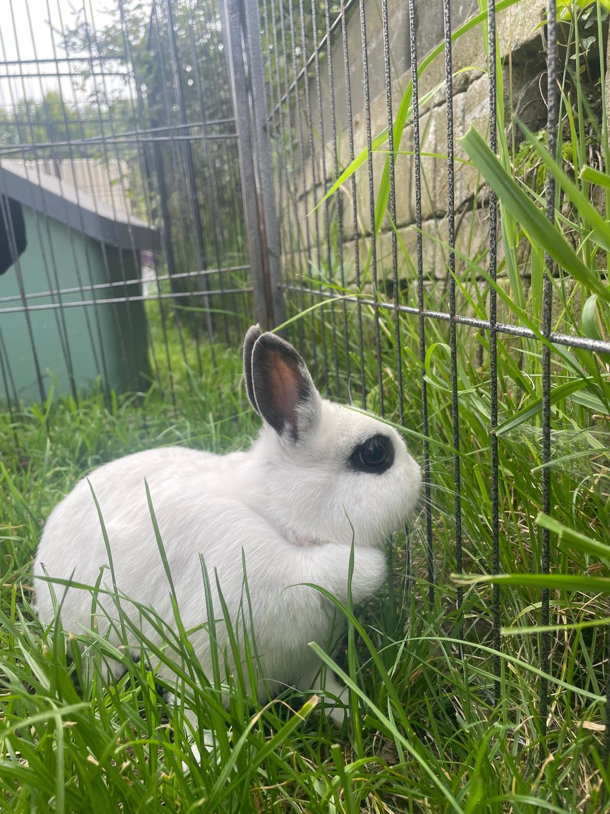 Vera