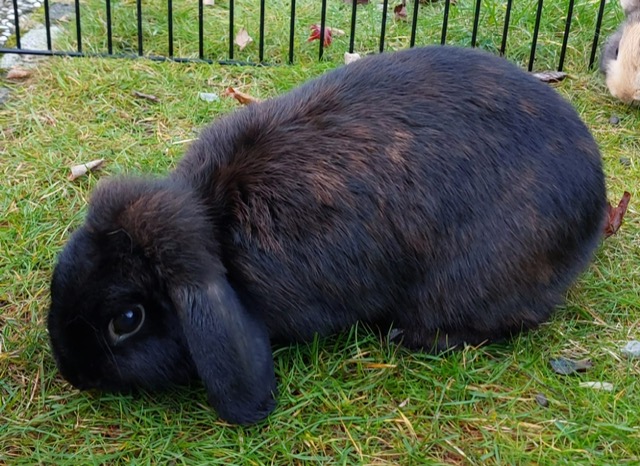 5853CF17-6493-49A6-9238-3B3AB24E2F16