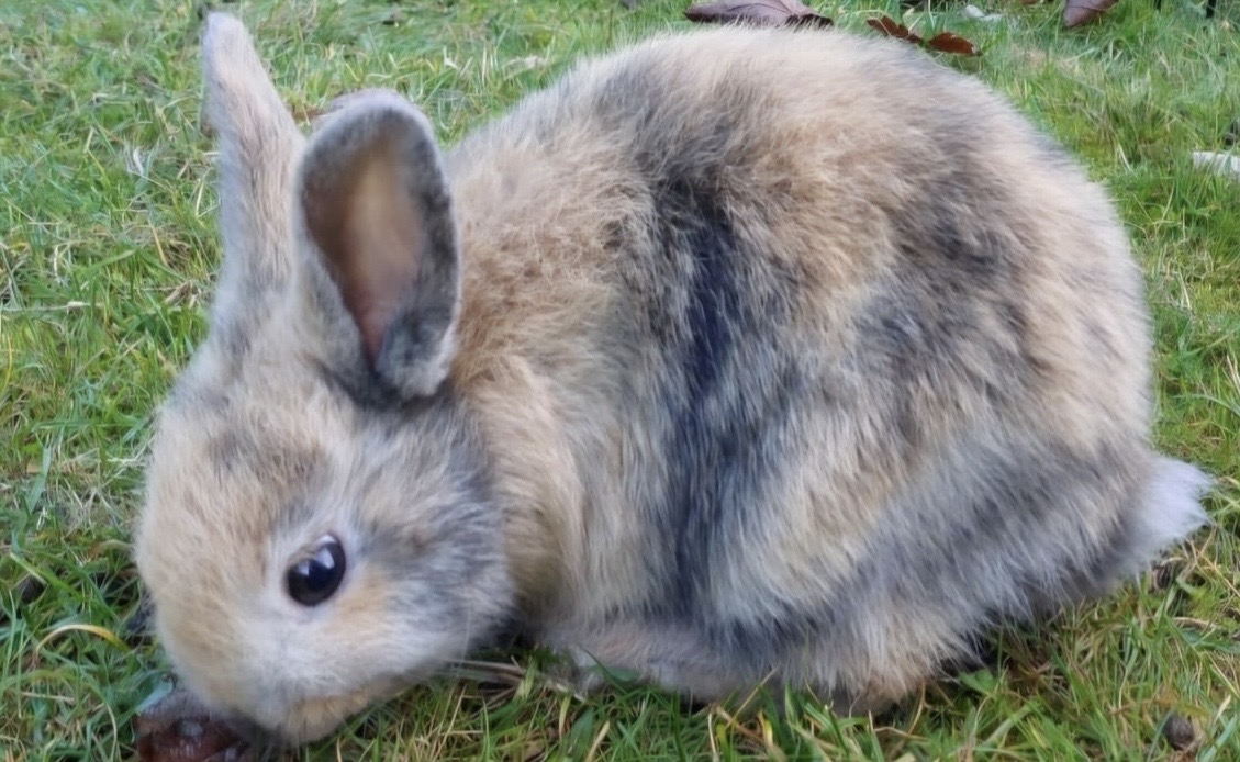 6121B3E7-FCC1-4A73-8C32-438316D63CD8