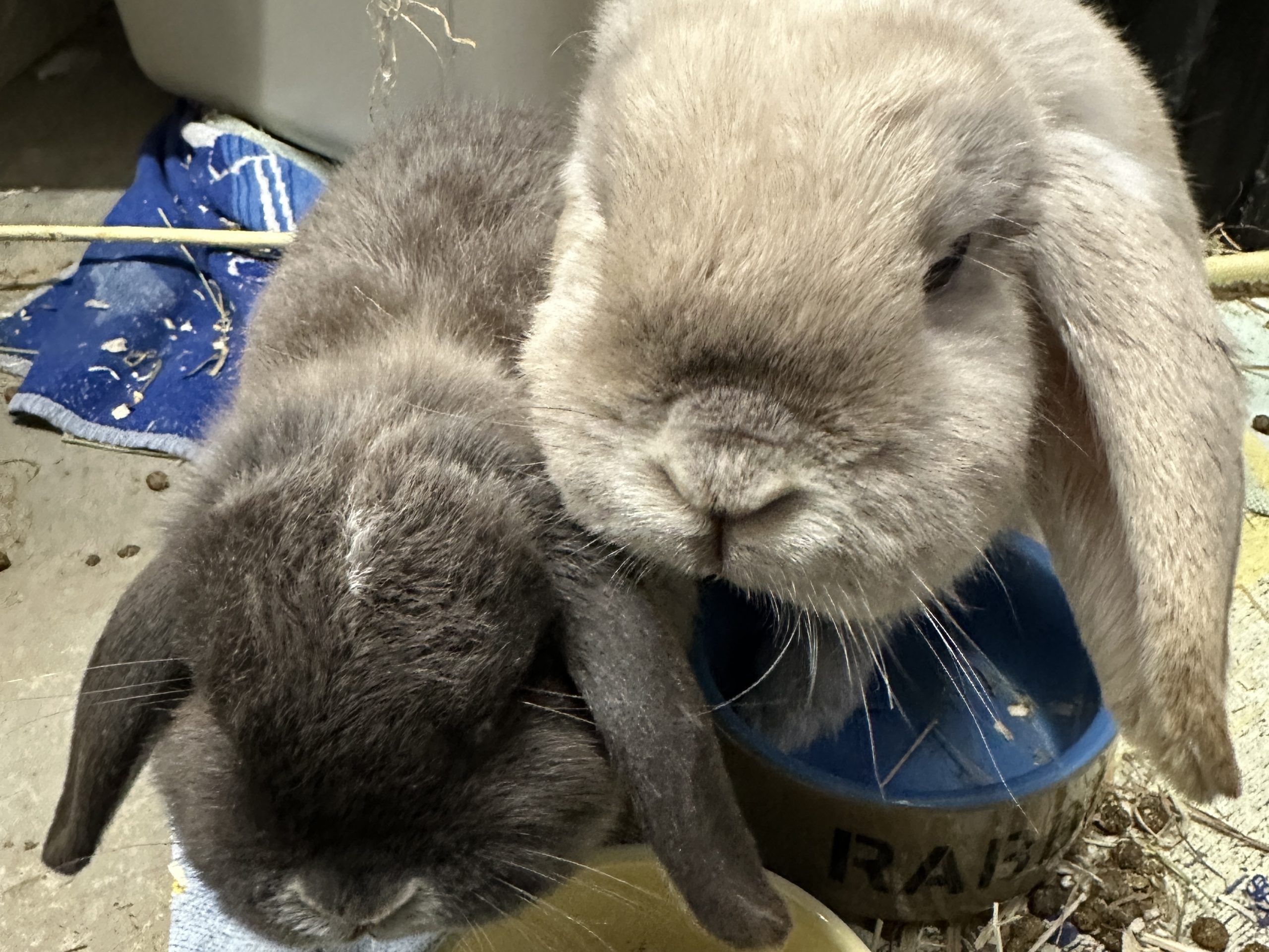 Olivia&Bo