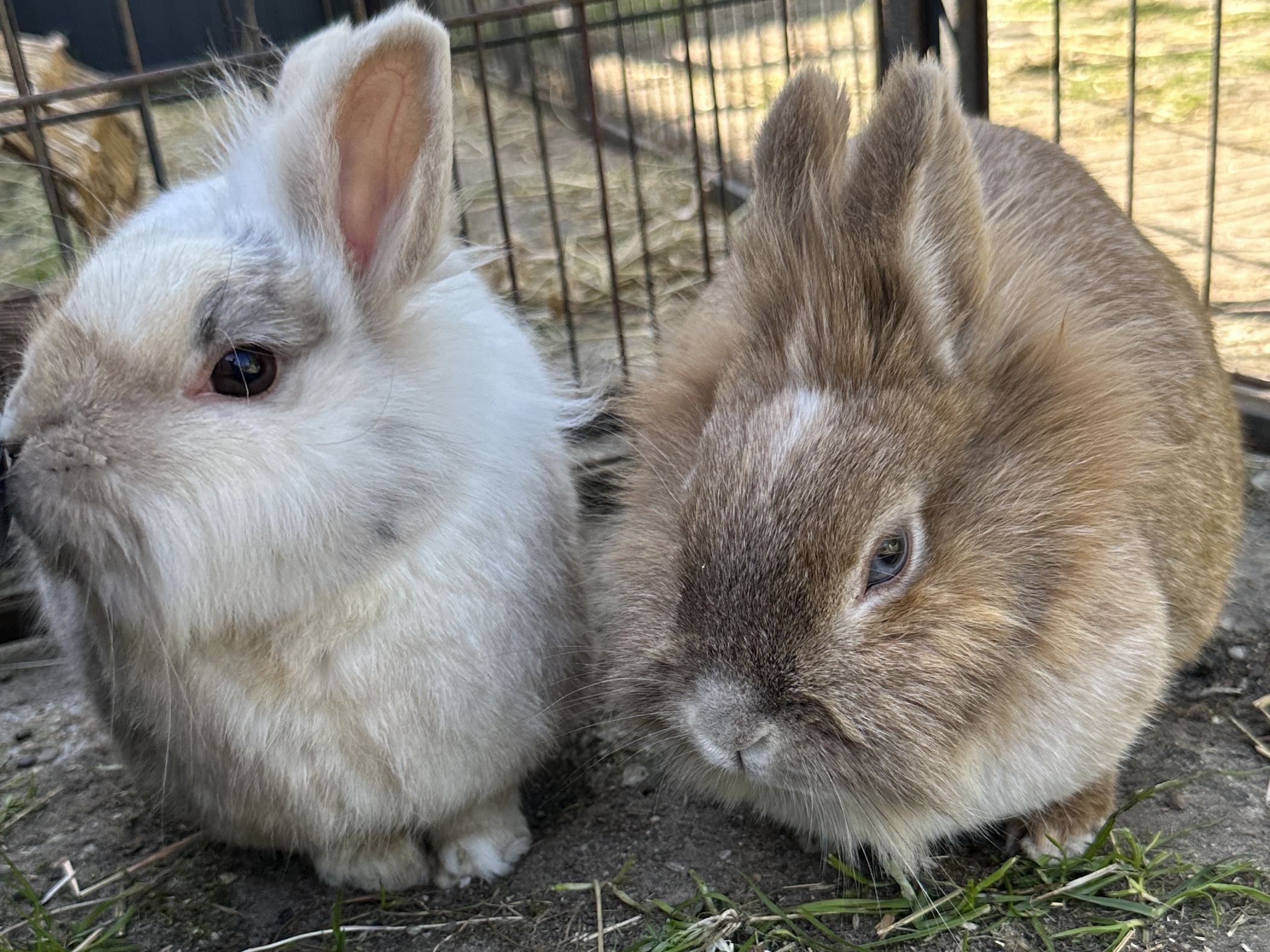 Isaac en Lyla